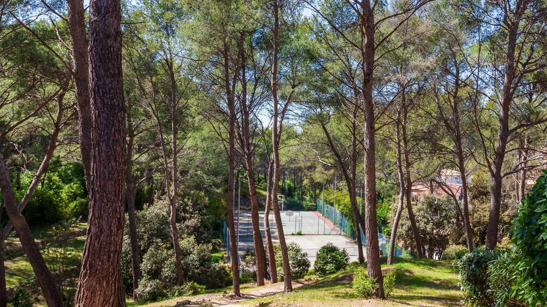 Apartment Studio Sanary